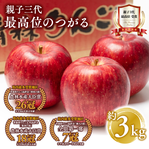 【9月発送】 親子三代最高位のつがる 約3kg【全国ふじコンテスト最高賞受賞農園・平川市広船産りんご】 1368689 - 青森県平川市