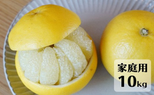 【先行予約・2025年1月】高知県産 土佐文旦 家庭用 10kg 農家直送 土佐 路地 ブンタン 136872 - 高知県日高村