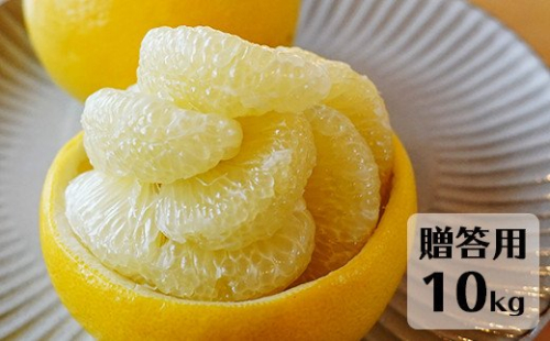 【先行予約・2025年1月】高知県産 土佐文旦 贈答用 10kg 農家直送 土佐 路地 ぶんたん 136873 - 高知県日高村