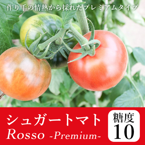 【先行予約・2026年2月】シュガートマト ロッソプレミアム10（糖度10度以上） 1kg 高糖度 フルーツトマト JA 136874 - 高知県日高村