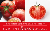 【先行予約】シュガートマト ロッソプレミアム10（糖度10度以上） 1kg 高糖度 フルーツトマト