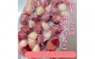 栃木県茂木町産　紅白冷凍いちご　完熟　とちあいか&ミルキーベリー　1kg(500g×2袋)【1515605】