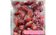 栃木県茂木町産　冷凍いちご　完熟　とちおとめ　1kg(500g×2袋)【1515666】
