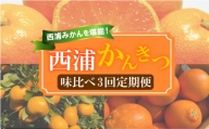 【 柑橘 定期便 】 訳あり 味比べ 3回 定期便 由良 みかん 寿太郎 みかん ブラッドオレンジ 5kg