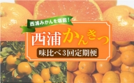 【 柑橘 定期便 】 訳あり 味比べ 3回 定期便 由良 みかん 寿太郎 みかん はるみ 5kg