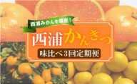 【 柑橘 定期便 】 訳あり 味比べ 3回 定期便 由良 みかん 寿太郎 みかん レモネード 5kg