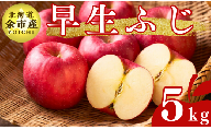 【先行受付：2024年10月下旬以降発送】余市産 早生ふじ 松村農園産のりんご 5kg