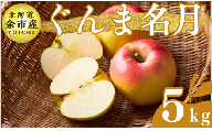【先行受付：2024年11月上旬以降発送】余市産 ぐんま名月 松村農園産のりんご 5kg