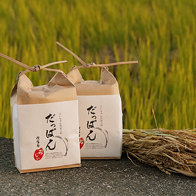 だっぱん米 龍馬脱藩の道がある村でとれたお米 にこまる（精米2kg×2袋） 136917 - 高知県日高村