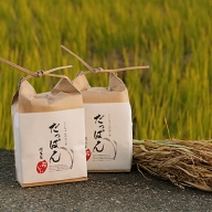 だっぱん米 龍馬脱藩の道がある村でとれたお米 にこまる（精米2kg×2袋）