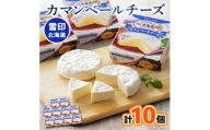 ＜毎月定期便＞雪印北海道 カマンベールチーズ 1箱(90g×10個入り)全5回【4014033】