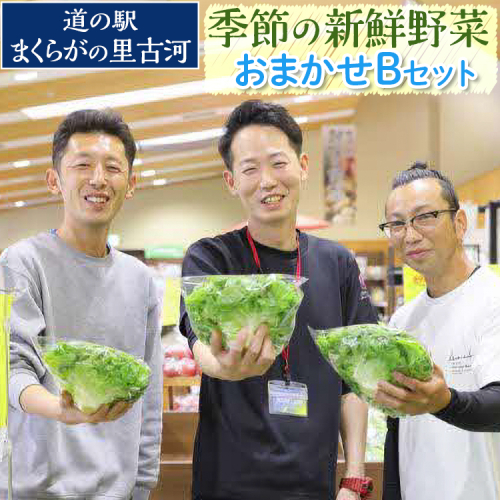 道の駅まくらがの里古河　季節の新鮮野菜おまかせBセット ※北海道・沖縄・離島への配送不可 | 野菜 セット 詰合せ 詰め合わせ セット アソート 新鮮 道の駅 人気 ギフト 贈答 贈り物 プレゼント お中元 お歳暮 茨城県 古河市 直送 農家直送 産地直送 送料無料  _BQ04 1369492 - 茨城県古河市