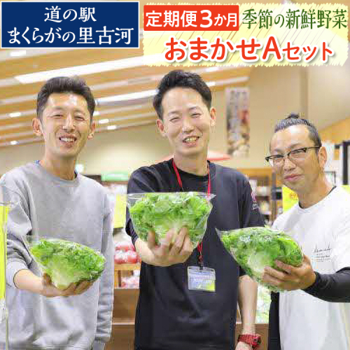 【定期便3か月】道の駅まくらがの里古河　季節の新鮮野菜おまかせAセット  ※北海道・沖縄・離島への配送不可 | 野菜 セット 詰合せ 定期便 詰め合わせ セット アソート 新鮮 道の駅 人気 ギフト 贈答 贈り物 プレゼント お中元 お歳暮 茨城県 古河市 直送 農家直送 産地直送 送料無料 _BQ05 1369496 - 茨城県古河市