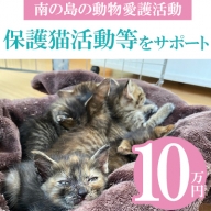 【南の島の動物愛護活動】保護猫活動等をサポート（10万円）