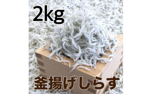 釜揚げしらす2kg【DN4】 1369640 - 和歌山県上富田町