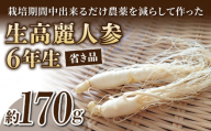 【長野県東御市産】栽培期間中出来るだけ農薬を減らして作った国産生高麗人参 6年生 約170ｇ（省き品）（2024年9月下旬〜10月頃お届け予定）