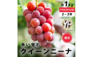 赤い大玉ぶどう 希少品種 クイーンニーナ 約1kg YAMANASHI PRIDEプレミアム【1517215】