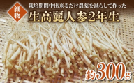 【長野県東御市産】栽培期間中出来るだけ農薬を減らして作った国産生高麗人参 2年生 細物 約300g（2024年9月下旬〜12月上旬頃お届け予定）