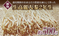 【長野県東御市産】栽培期間中出来るだけ農薬を減らして作った国産生高麗人参 2年生 細物 約500g（2024年9月下旬〜12月上旬頃お届け予定）