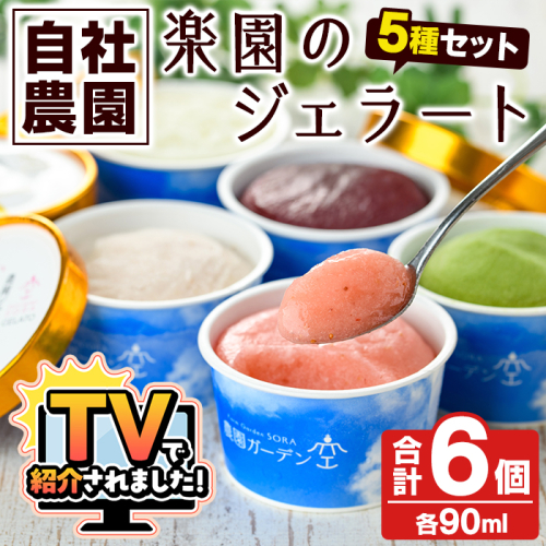 ＼テレビで紹介されました！／農園ガーデン空 楽園のジェラートセット(90ml×6個) ジェラート アイス いちご いちごミルク レモン ブルーベリー 抹茶 デザート スイーツ おやつ 夏 鹿児島 バラエティ バレンタイン ホワイトデー【農園ガーデン空】akn026-12 136999 - 鹿児島県阿久根市