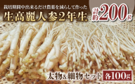 【長野県東御市産】栽培期間中出来るだけ農薬を減らして作った国産生高麗人参 2年生 太物＆細物のセット 約200g（2024年10月中旬〜12月上旬頃お届け予定）