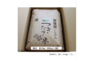 ＜令和6年産＞新米・猪名川町のお米コシヒカリ(精米)約18kg【1514233】