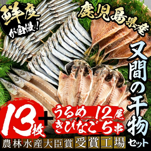 鹿児島県産！干物詰め合わせ(5種)国産 九州産 魚介 ひもの 干物 乾物 鯵 あじ かますな きびなご ウルメ セット 詰合せ【又間水産】akn001-02 137008 - 鹿児島県阿久根市