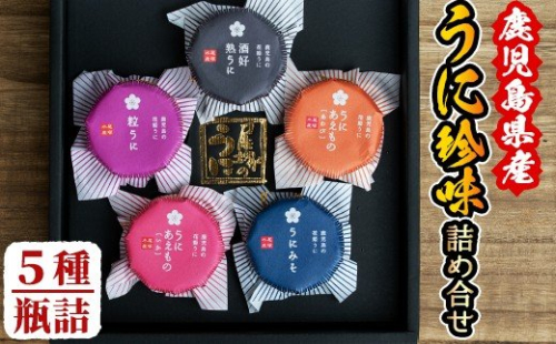 鹿児島県産うに使用！人気のうに珍味 阿久根の五宝海(ごほうび)セット(5瓶) ムラサキウニ 酒好熟うに 粒うに うに味噌 あわびうに いかうに 詰め合わせ 食べ比べ 贈答用 ギフト 贈り物 花姫うに おつまみ ウニ 珍味 国産 鹿児島県産【尾塚水産】akn004-18 137012 - 鹿児島県阿久根市