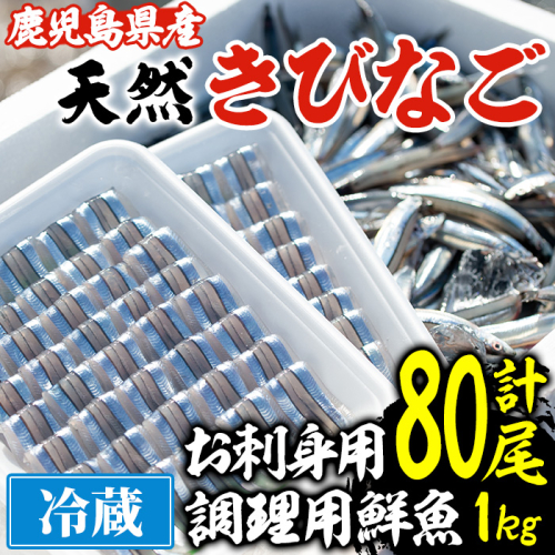 鹿児島県阿久根産！天然きびなごのお刺身(40尾×2パック)と鮮魚(1kg)セット 国産 九州産 鹿児島産 鮮魚 魚介 セット【濱崎魚類】akn023-03 137023 - 鹿児島県阿久根市