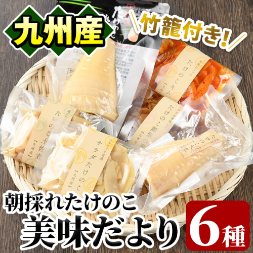 たけのこ美味だより(6種)国産 加工品 惣菜 弁当 おかず 筍水煮 たけのこご飯の素 簡単調理 贈答 ギフト プレゼント【上野食品】akn008-03 137033 - 鹿児島県阿久根市