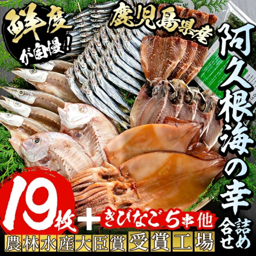 鹿児島県産！干物詰め合わせ＜8種＞国産 九州産 鹿児島産 干物 ひもの 乾物　鯛 タイ 鯵 アジ かます いか きびなご ウルメ あおさのり セット 詰合せ【又間水産】akn001-06 137043 - 鹿児島県阿久根市