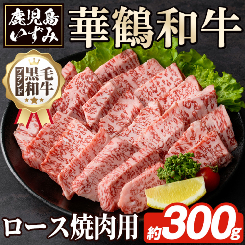 商標登録のブランド黒毛和牛肉！鹿児島いずみ華鶴和牛の焼き肉用ロース(約300g) 阿久根市 国産 九州産 鹿児島県産 特産品 肉 牛肉 焼肉 希少【鹿児島いずみ農業協同組合】akn018-24 137085 - 鹿児島県阿久根市