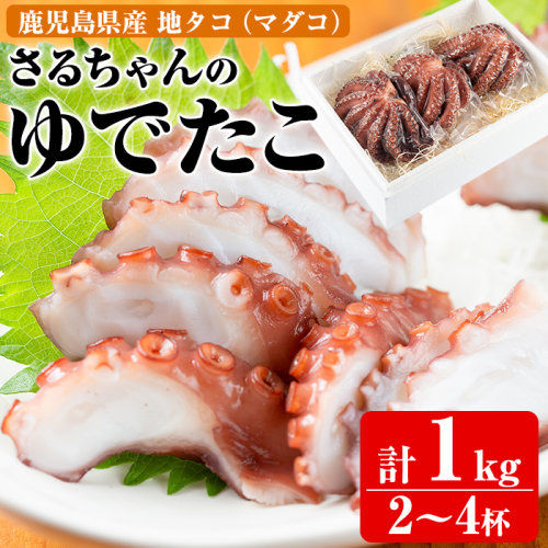鹿児島県産地たこのゆでたこ(計1kg) 阿久根市 国産 九州産 特産品 新鮮 地ダコ タコ 魚介 魚貝 海産物 海鮮 蛸 味付 刺身 磯辺焼き たこ焼き 唐揚げ 料理 おかず お弁当【さるがく水産】akn028-19 137086 - 鹿児島県阿久根市