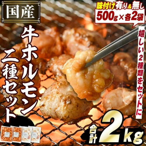＼テレビで紹介されました！／国産牛ホルモン2種セット(合計2kg) 国産 特産品 牛 小腸 味付 パック 詰め合わせ 詰合せ 炒め物 鍋 モツ おかず お弁当【スターゼン】akn031-01 137095 - 鹿児島県阿久根市