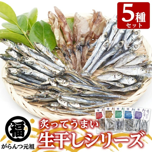 鹿児島県阿久根市産！生干しシリーズ(5種)国産 生干し おつまみ おかず 魚介 魚貝 海産物 干物 ひもの【マルフク川畑水産】akn029-03 137118 - 鹿児島県阿久根市