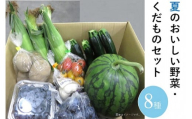 1112 長野県山形村産「夏のおいしい野菜・くだもの」セット