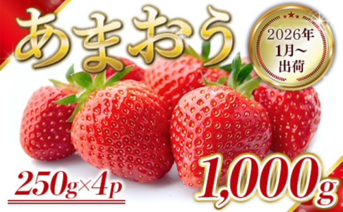 いちご 福岡県産 あまおう 1000g (250g×4パック) 先行予約 2026年1月より順次発送 果物 デザート ※配送不可：離島  1371334 - 福岡県朝倉市