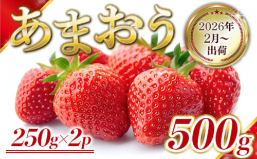 いちご 福岡県産 あまおう 500g (250g×2パック) 先行予約 2026年2月より順次発送 果物 デザート ※配送不可：離島  1371335 - 福岡県朝倉市