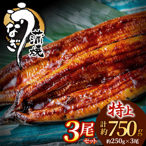 AF098.うなぎ蒲焼き3尾セット（約250g×3尾） 1371510 - 福岡県新宮町