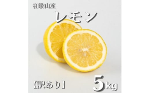 和歌山産 レモン 5kg  ［訳あり］ ［US1］ 1371592 - 和歌山県那智勝浦町