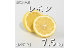 果汁が多いのが特徴で、酸味が強くさわやかな香りもあります。 ※家庭用とは傷、黒点などが皮についていますが中身は問題ありません。 ■お礼品の内容について ・和歌山県産 レモン 家庭用 7.５kg サイズ