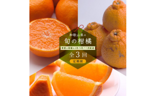 【 2・5・11月 全3回 】 柑橘定期便A【IKE7】 1371632 - 和歌山県那智勝浦町