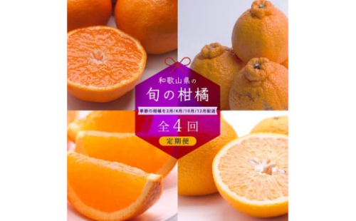 【 2・4・10・12月 全4回 】 柑橘定期便A【IKE5】 1371634 - 和歌山県那智勝浦町