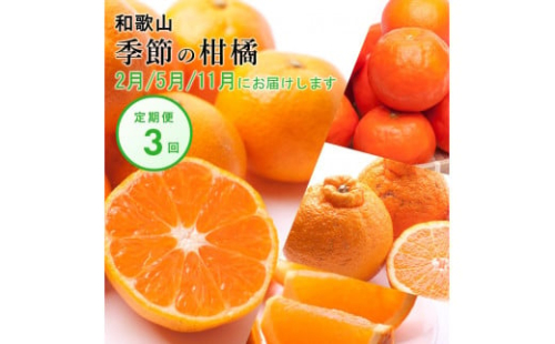 【 2・5・11月 全3回 】 柑橘定期便A【IKE7】 1371635 - 和歌山県上富田町