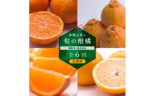 【偶数月 全6回 】 柑橘定期便A【IKE13】 1371636 - 和歌山県那智勝浦町