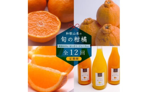 【 毎月発送 全12回 】 柑橘定期便A【IKE9】 1371638 - 和歌山県那智勝浦町