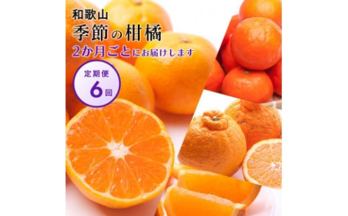 【偶数月 全6回 】 柑橘定期便A【IKE13】 1371640 - 和歌山県上富田町