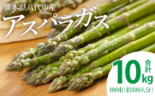 【先行予約】熊本県八代市産 アスパラガス 10kg やさい 新鮮 アスパラ【2025年4月上旬より順次発送】 1371724 - 熊本県八代市