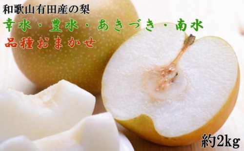 【産直】和歌山有田産の梨約2kg（品種おまかせ）★2026年8月上旬頃より順次発送 1371768 - 和歌山県有田川町