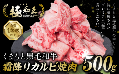 極和王シリーズ くまもと黒毛和牛 霜降りカルビ焼肉 500g 熊本県産 牛肉 1371935 - 熊本県八代市